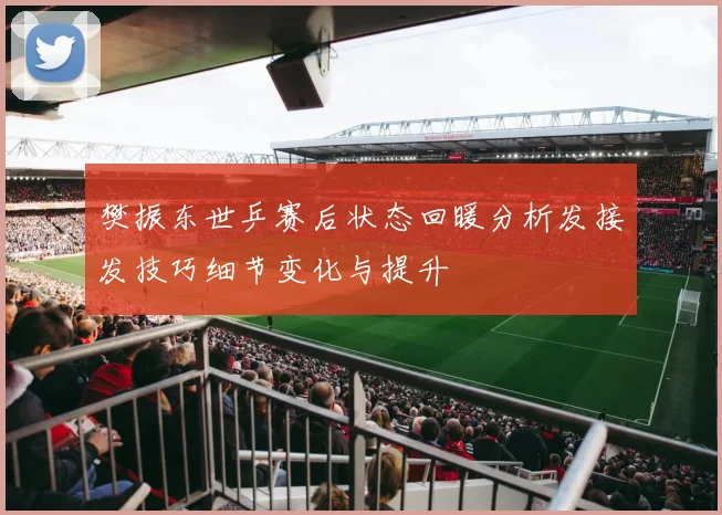 樊振东世乒赛后状态回暖分析发接发技巧细节变化与提升